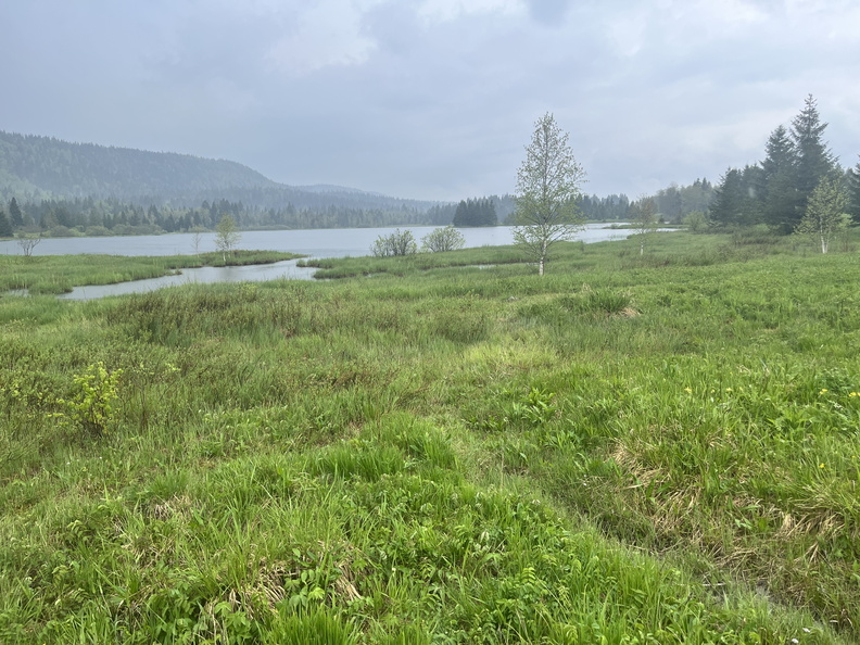 23-05-23 13-04-26 5595